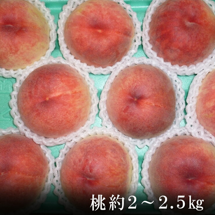 【ふるさと納税】＜先行予約＞北信州産　桃　約2～2.5Kg（6～9玉）＜出荷開始：2024/8月上旬～下旬＞...