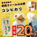 【ふるさと納税】【先行予約】<令和7年産> 奥信濃飯山〜木内ファームのお米〜コシカリ 玄米 20kg(10kg×2袋)(7-30A)<出荷開始:2025年10月...