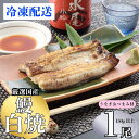 【ふるさと納税】【着日・時間指定可】明治37年創業「本多」国産うなぎ白焼1尾(150g以上)・うなぎおつまみ付(冷凍)【 長野県 飯山市 おいしい お取り寄せ ...