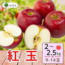 【ふるさと納税】<先行予約> 紅玉【約2〜2.5kg(9〜14玉)】(7-A22)<出荷開始:2025/10月上旬〜中旬頃>【 こうぎょく 林檎 りんご リンゴ...