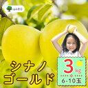 【ふるさと納税】<先行予約>シナノゴールド【約3kg (6〜10玉)】...(4)