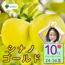 【ふるさと納税】<先行予約>シナノゴールド【約10kg (24〜36玉)】<出荷開始:2025年10月下旬〜11月中旬頃>(7-A25-3)【 フルーツ りんご...