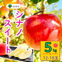 【ふるさと納税】<先行予約>シナノスイート【約5kg (12〜18玉)】 <出荷開始:2025年10月中旬〜下旬頃>(7-A24-2)【 りんご フルーツ 長野...