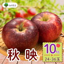 【ふるさと納税】<先行予約> 秋映(あきばえ)【約10kg (24〜36玉)】<出荷開始:2025/10月上旬〜中旬頃>(7-A23-3)【 林檎 りんご リン...