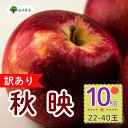 【ふるさと納税】<先行予約>【訳あり】規格外 秋映(あきばえ)【約10kg (24〜36玉)】 <出荷開始:2025年10月上旬頃〜中旬頃>(7-A26-3) ...