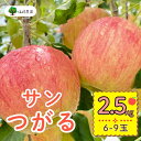 【ふるさと納税】<先行予約>サンつがる 【約2.5kg (6〜9玉)】...(4)
