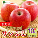 【ふるさと納税】【先行予約】【訳あり】規格外 サンふじ 約10kg (22~40玉)(2025年産) (7-A39-3)<出荷時期:2025年12月中旬ごろ~>【 りんご フルーツ 長野県 飯山市 甘味 酸味 リンゴ 林檎 くだもの 果物 ギフト プレゼント お歳暮 御歳暮 わけあり 訳あり】
