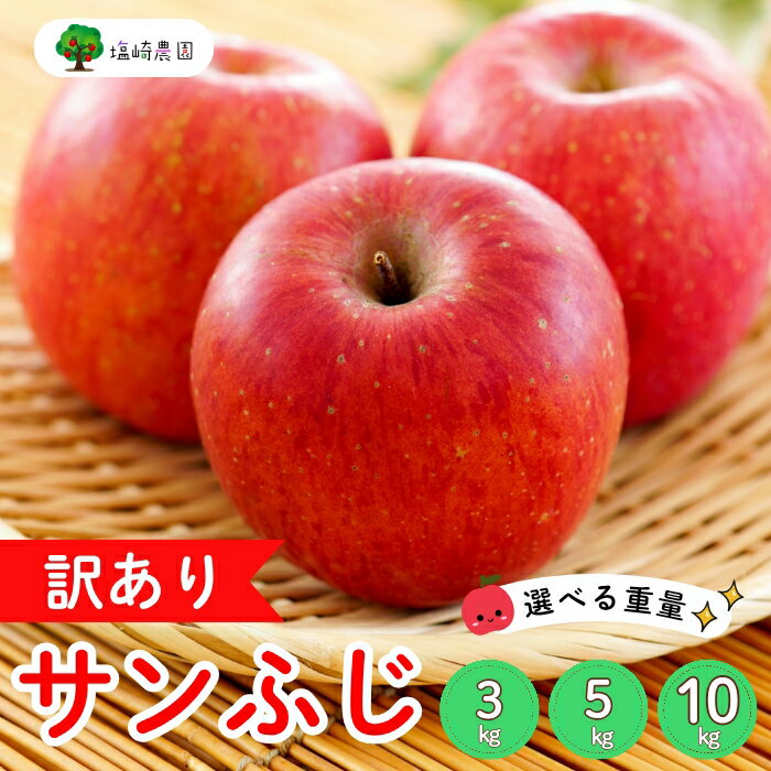 【ふるさと納税】【先行予約】【訳あり】サンふじ 信州 りんご選べる3kg 5kg 10kg <出荷時期:2025年12月中旬ごろ〜>(2025年産) (7-A39-1-2-3)【 りんご フルーツ 長野県 飯山市 甘味 酸味 リンゴ 林檎 くだもの 果物 ギフト プレゼント わけあり 訳あり 規格外 】