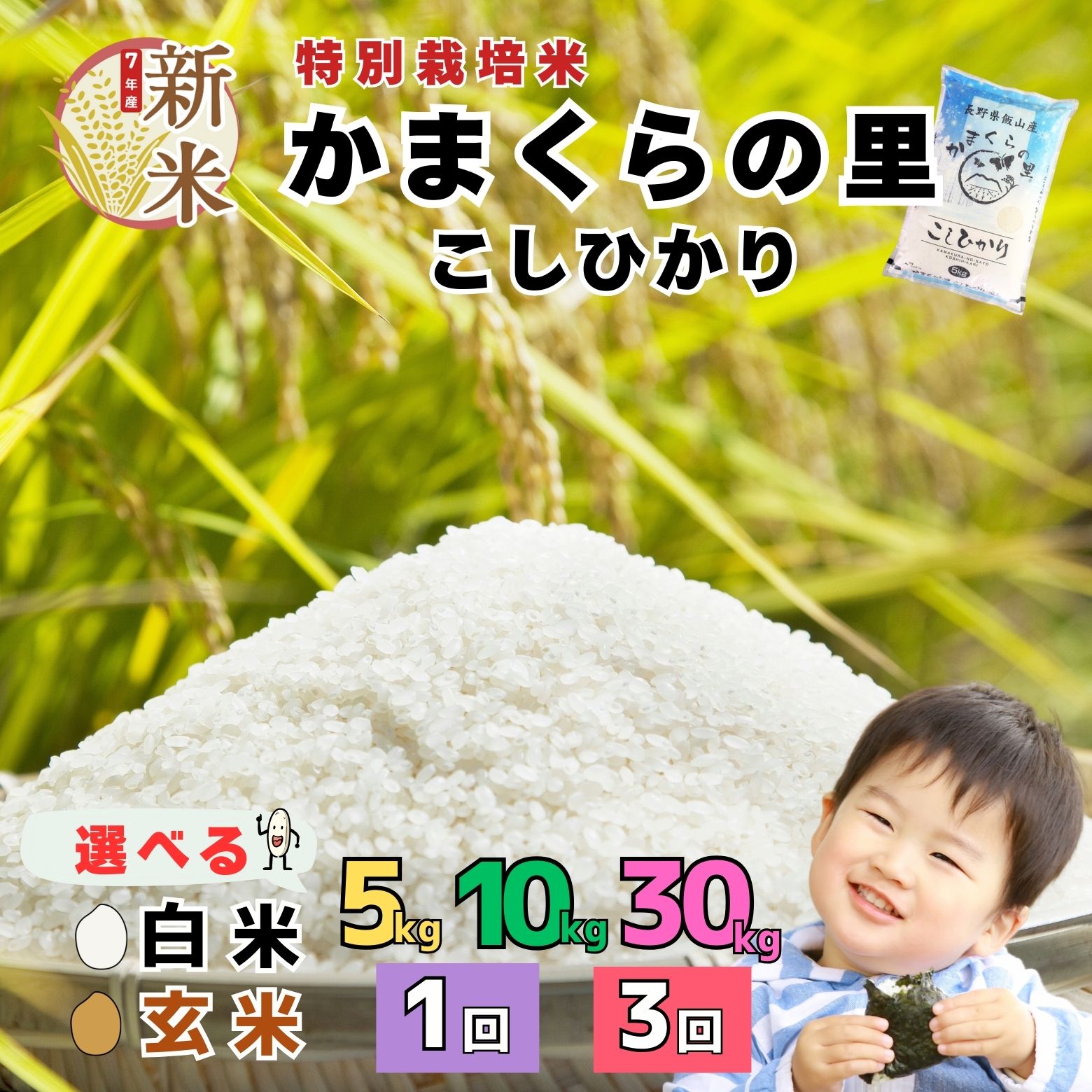 【ふるさと納税 】【先行予約】新米 令和7年産 特別栽培米 コシヒカリ 選べる 白米 玄米 5kg 10kg 30kg ＜出荷開始：2025年10月～＞ かまくらの里 こしひかり【 長野県 飯山市 信州 美味しい お米 白米 新米 精米 ごはん ご飯 こしひかり とざま】 7-1のサムネイル
