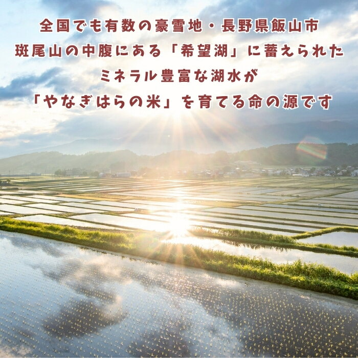 長野県飯山市の画像2