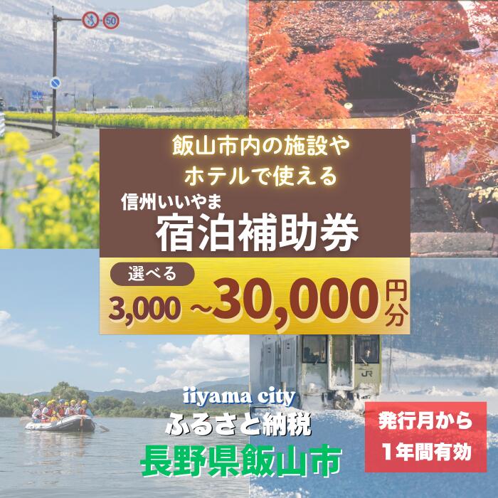 【ふるさと納税】信州 いいやま 宿泊補助券 選べる 3,000円 9,000円 18,000円 24,000円 30,000円【長野..