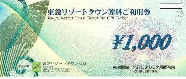 【ふるさと納税】湯の丸スキー場 スキーリフト9回回数券(こども用)