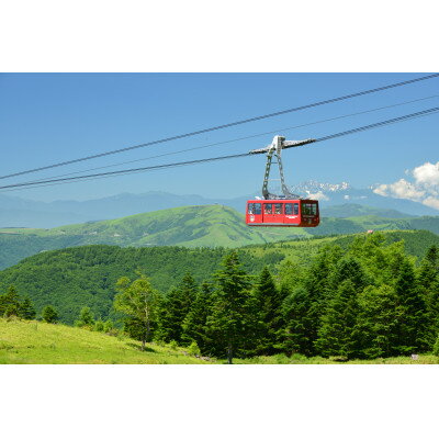 【ふるさと納税】北八ヶ岳ロープウェイ往復乗車券...の紹介画像2