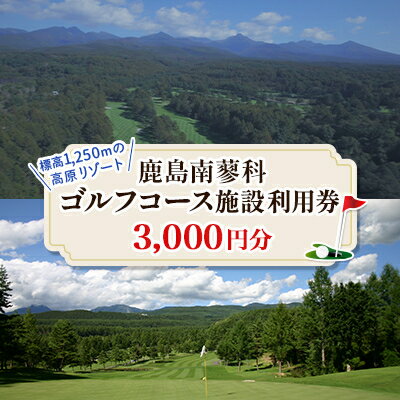 【ふるさと納税】鹿島南蓼科ゴルフコース施設利用券3 000円分 1 000円分 3枚 【1418137】