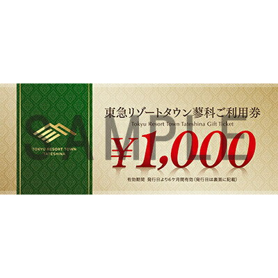 【ふるさと納税】東急リゾートタウン蓼科利用券(1,000円分×9枚)2024年4月1日から6か月間有効チケット【1421663】