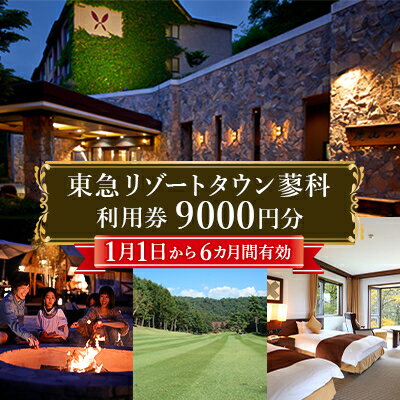 【ふるさと納税】東急リゾートタウン蓼科利用券(1,000円分×9枚)2026年1月1日から6か月間有効チケット【1422228】