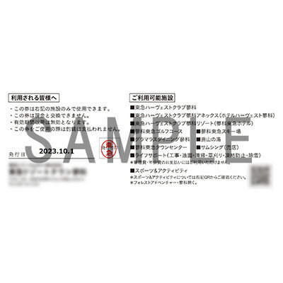 【ふるさと納税】東急リゾートタウン蓼科利用券(1,000円分×9枚)2025年10月1日から6か月間有効チケット【1437993】その2