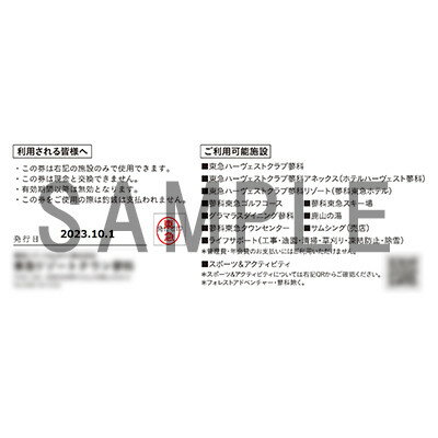 【ふるさと納税】東急リゾートタウン蓼科利用券(1,000円分×9枚)2024年10月1日から6か月間有効チケット【1437993】その2