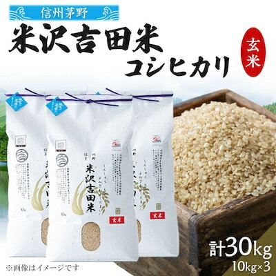 新米　霧ヶ峰高原から伏流水が育んだお米「信州茅野　米沢吉田米」玄米 30kg(10kg×3個)【1454550】