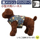 26位! 口コミ数「0件」評価「0」Fabric by ベストオブモリス 小型犬用 ハーネス いちご泥棒 Mサイズ【1460911】