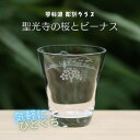【ふるさと納税】蓼科湖 彫刻グラス「聖光寺の桜とビーナス」1個 冷酒・ジュースグラス(小)【1542636】
