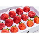 【ふるさと納税】【天空のいちご】おまかせ2〜3品種(L〜LLサイズ/20〜24玉入り×1箱)【6月より順次発送】【配送不可地域:離島】【1552287】