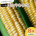 【ふるさと納税】【先行予約】八ヶ岳生とうもろこし 約350g×8本 〈2025年7月下旬〜9月下旬発送予定〉 とうもとこし 朝採れ 新鮮 長野県 八ヶ岳 甘い ...