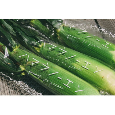 長野県茅野市の画像2