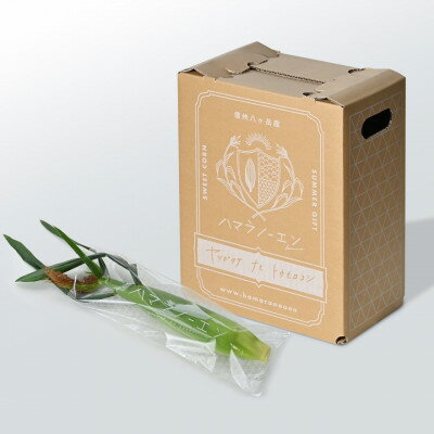 長野県茅野市の画像3