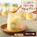 【ふるさと納税】八ヶ岳育ちのたまごと牛乳 かもしかプリン プレーン(90ml×6個)【配送不可地域:離島】【1576516】