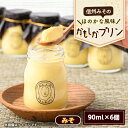 【ふるさと納税】丸井の信州みそプリン(90ml×6個)【配送不可地域:離島】【1576517】