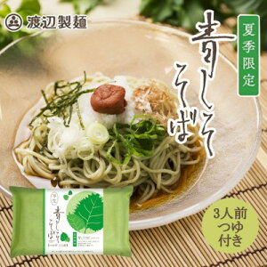 【ふるさと納税】【期間限定】渡辺製麺の信州そば 青しそそば3人前つゆ付き 夏限定 半生タイプ 信州八ヶ岳よりお届け【1591202】