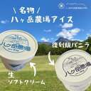 【ふるさと納税】八ヶ岳農場 バニラ&生ソフトクリームアイス 味比べセット 各6個・2種類(合計12個)【配送不可地域:離島】【1600512】