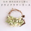 【ふるさと納税】信州八ヶ岳の麓から贈るドライフラワーリース Sハーフ(グリーン)【1659526】