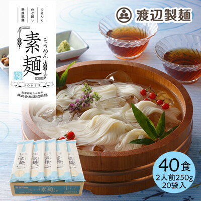 【ふるさと納税】そうめん40食 1袋250g2人前×20袋(計5kg)信州八ヶ岳よりお届け【1746133】