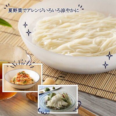 【ふるさと納税】そうめん40食 1袋250g2人前×20袋(計5kg)信州八ヶ岳よりお届け【1746133】
