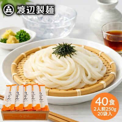 【ふるさと納税】うどん40食 1袋250g2人前×20袋(計5kg)乾麺 信州八ヶ岳よりお届け【1746182】