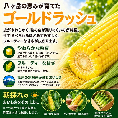 【ふるさと納税】【先行予約】朝採り出荷　長野県茅野市産　とうもろこし　計約4kg【配送不可地域：離島・北海道・沖縄県】【1746415】