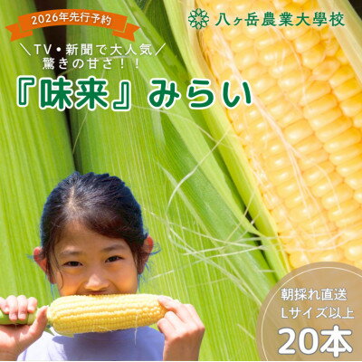 【ふるさと納税】【2026年先行予約】朝採れ直送 フルーツのような甘さ『皮付き』生とうもろこし20本【配送不可地域：離島】【1748490】