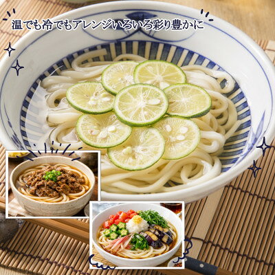 【ふるさと納税】うどん80食[1袋250g2人前×20袋×2箱(計10kg)]乾麺 信州八ヶ岳よりお届け【1753803】