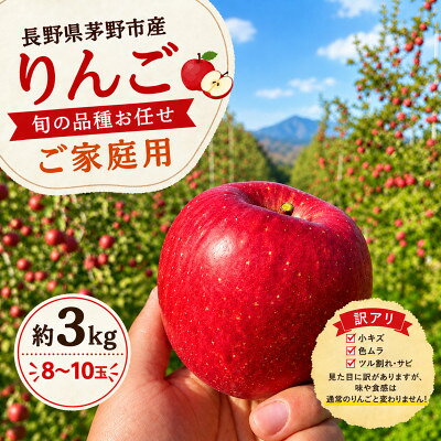 旬の品種お任せ[訳アリ]茅野市産りんご3kg(8〜10玉)[配送不可地域:離島・沖縄県]