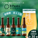 【ふるさと納税】【毎月定期便】大満足!八ヶ岳山麓のクラフトビール飲み比べ30本セット【合計360本】全12回【配送不可地域:離島】【4073921】