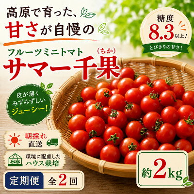 [毎月定期便]蓼科野菜 八ヶ岳産高原育ちのフルーツミニトマト 約2kg 全2回[配送不可地域:離島]