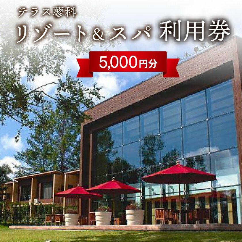 テラス蓼科リゾート&スパ 5,000円利用券×1枚