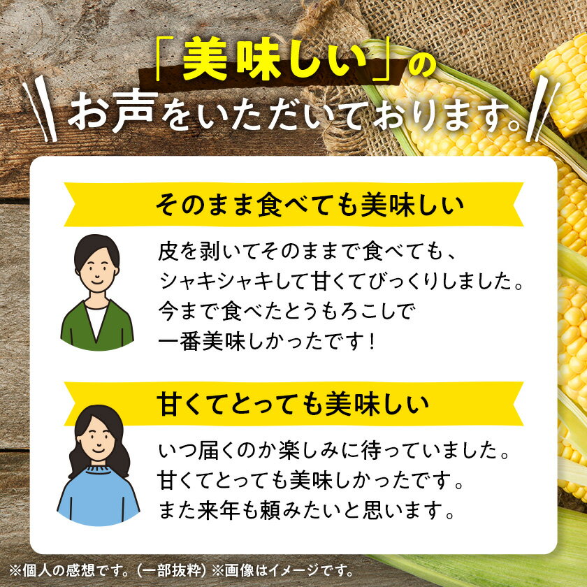 【ふるさと納税】　【先行予約】朝採れ 八ヶ岳生とうもろこし 10本〈2026年7月下旬～9月下旬発送予定〉【配送不可地域：離島】【1574950】