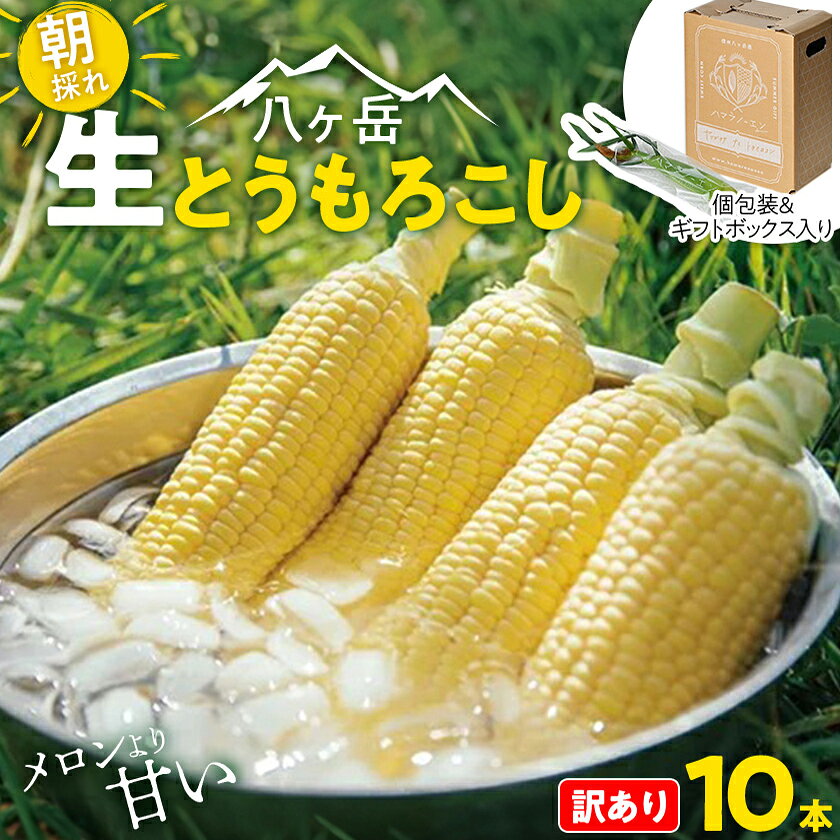 [訳あり]朝採れ 八ヶ岳生とうもろこし はねだし10本(約3kg)[26年7月〜9月下旬発送予定][配送不可地域:離島]