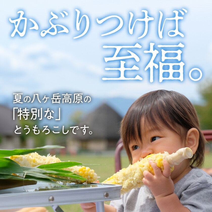 【ふるさと納税】【訳あり】朝採れ 八ヶ岳生とうもろこし はねだし10本(約3kg)〈26年7月～9月下旬発送予定〉【配送不可地域：離島】【1678265】
