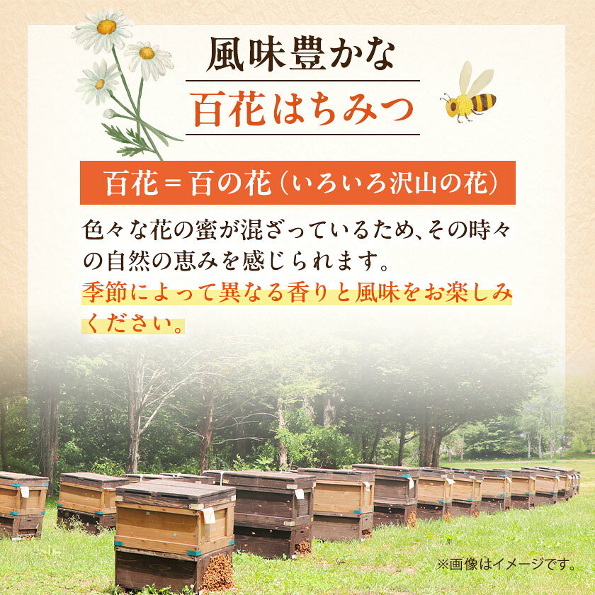 【ふるさと納税】百花はちみつ 1200g【1712889】