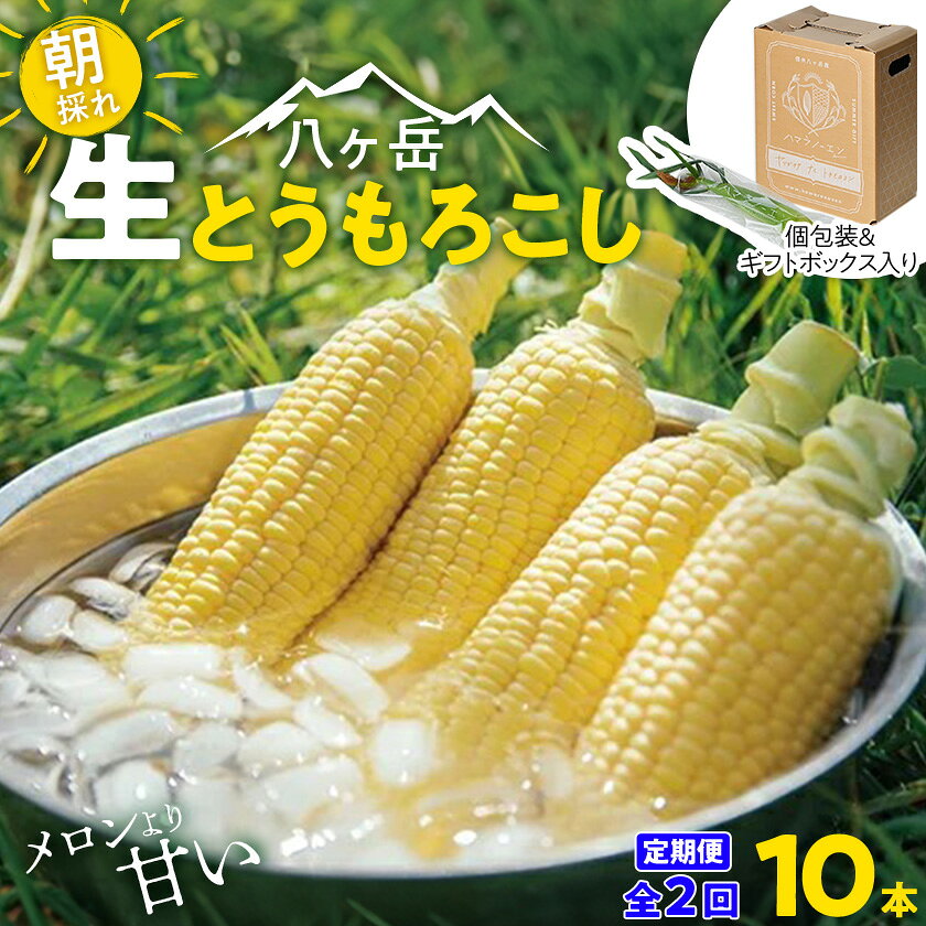 【発送月固定定期便】【先行予約】朝採れ 八ヶ岳生とうもろこし 10本全2回【配送不可地域：離島】【4075436】