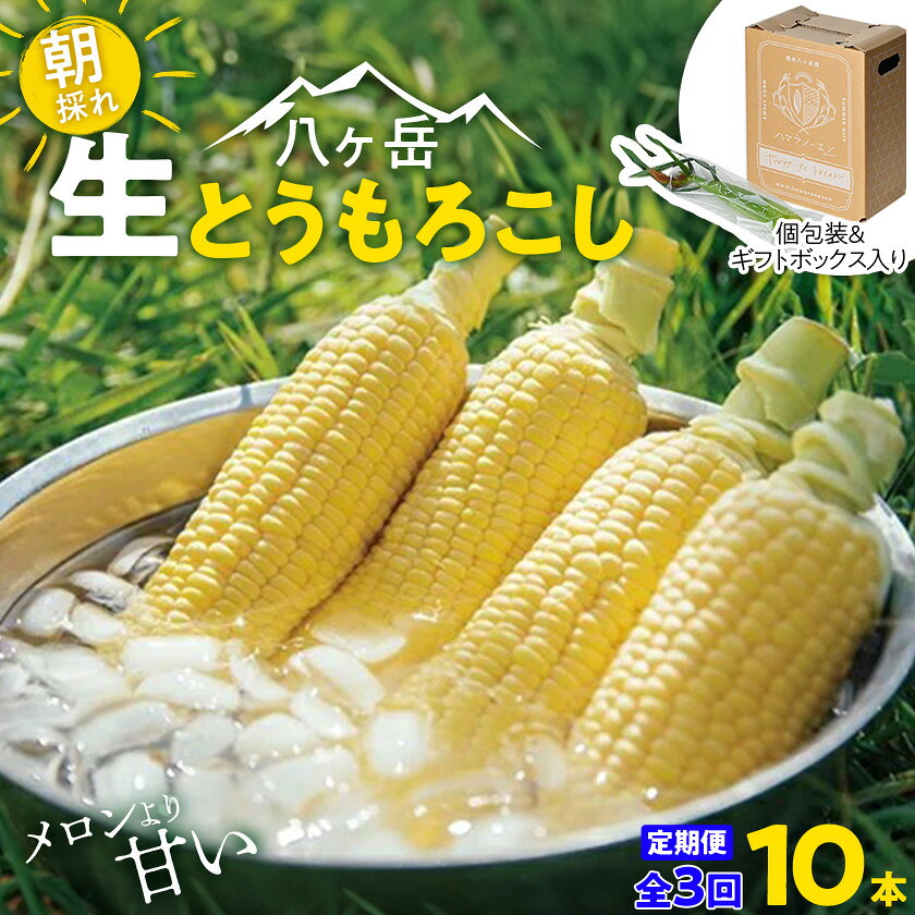 【発送月固定定期便】【2026年発送】朝採れ 八ヶ岳生とうもろこし 10本全3回【配送不可地域：離島】【4075437】